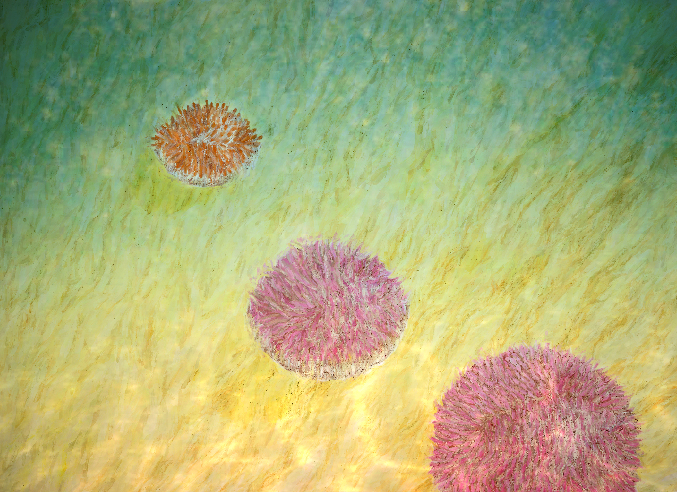 Cora Honeycomb-studio textre