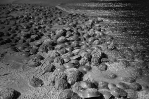 source: smithsonianmag.com